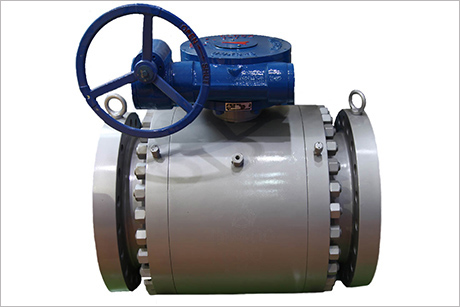 煤化(hua)工閥門