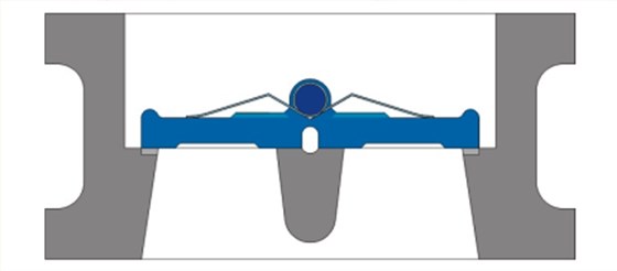 對夾雙(shuāng)瓣式止回閥結(jié)構圖