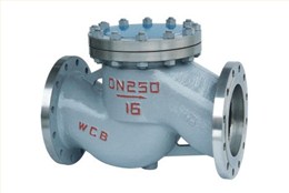 升降式(shì)止回閥(fá)