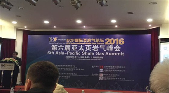 頁岩氣(qi)峰會 頁岩(yan)氣峰會