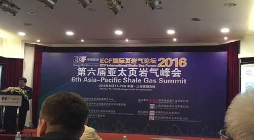 頁岩氣峰(fēng)會 頁岩氣(qì)峰會
