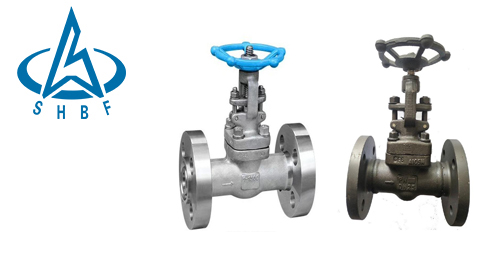 如何(he)區别鑄(zhù)造閥門(men)和鍛造(zào)閥門