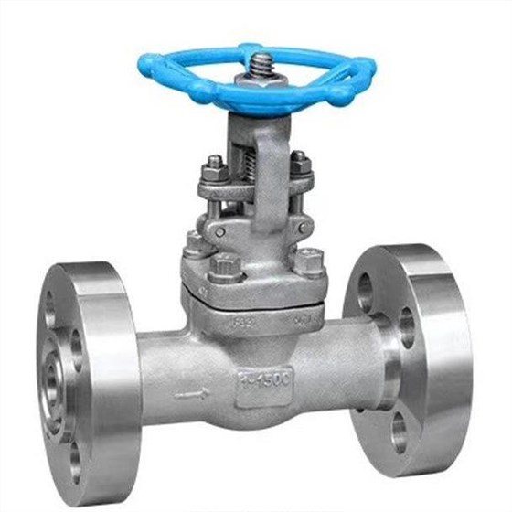 鑄造法蘭閘(zhá)閥 鑄造法蘭閘(zha)閥